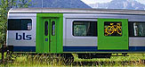 lil388994 copy.jpg
